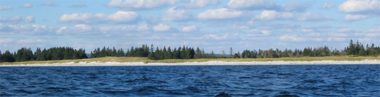 Back Beach