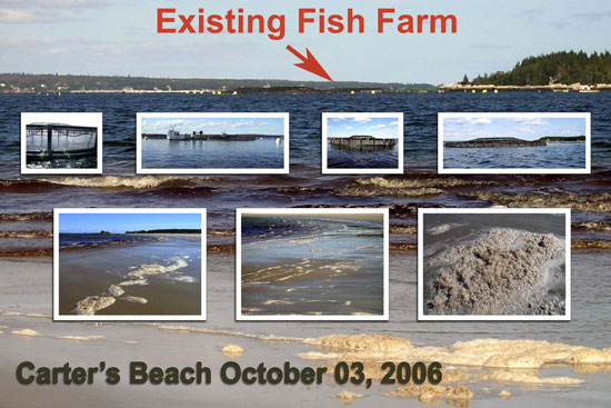 Existing fish farm as viewed from Carter's Beach