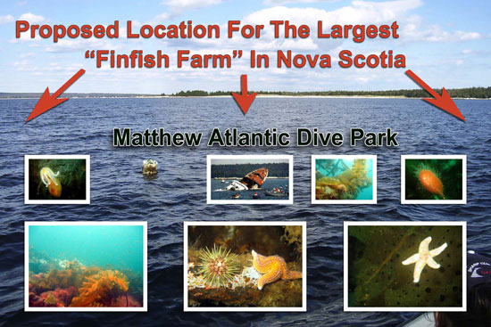 Proposed location as seen from Matthew Atlantic site