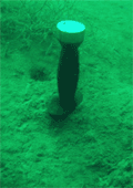 Knife standing upright in waste layer